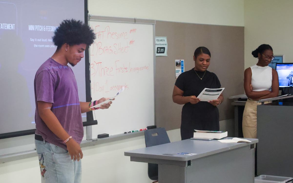 One to one coaching between a facilitator and a scholar